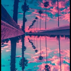 Meet your Posher, Jayla-lee